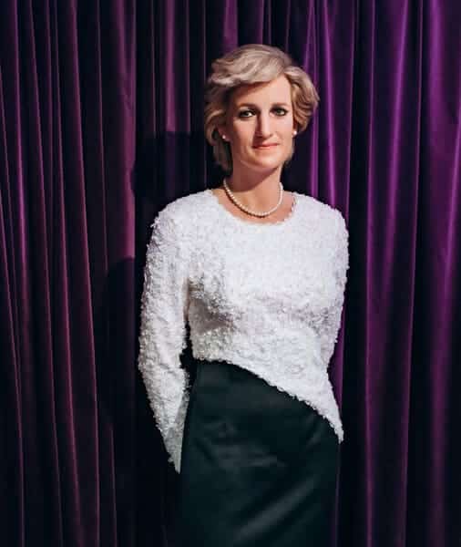 madame tussauds amsterdam ()